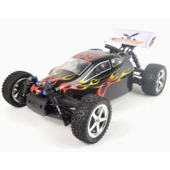 Nitro rc cheap car price